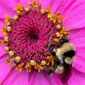 Meet your Posher, Karen